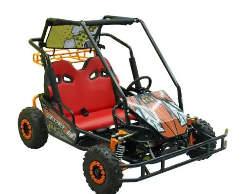 family go kart family go kart
