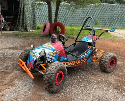 electric UTV