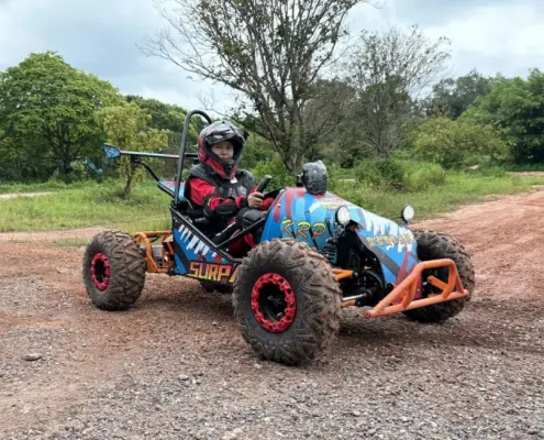 single seater UTV
