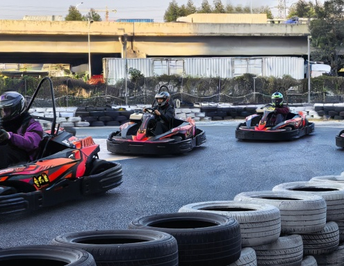 adults go kart