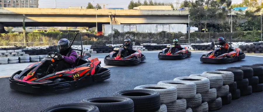 adults go kart