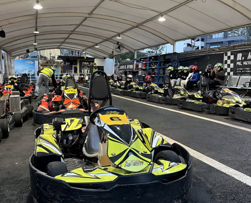 wewin 270CC go kart
