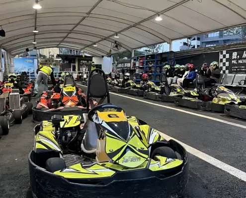 wewin 270CC go kart