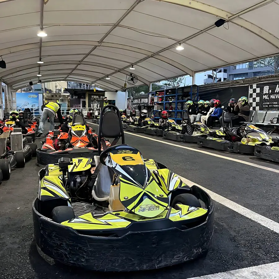 wewin 270CC go kart