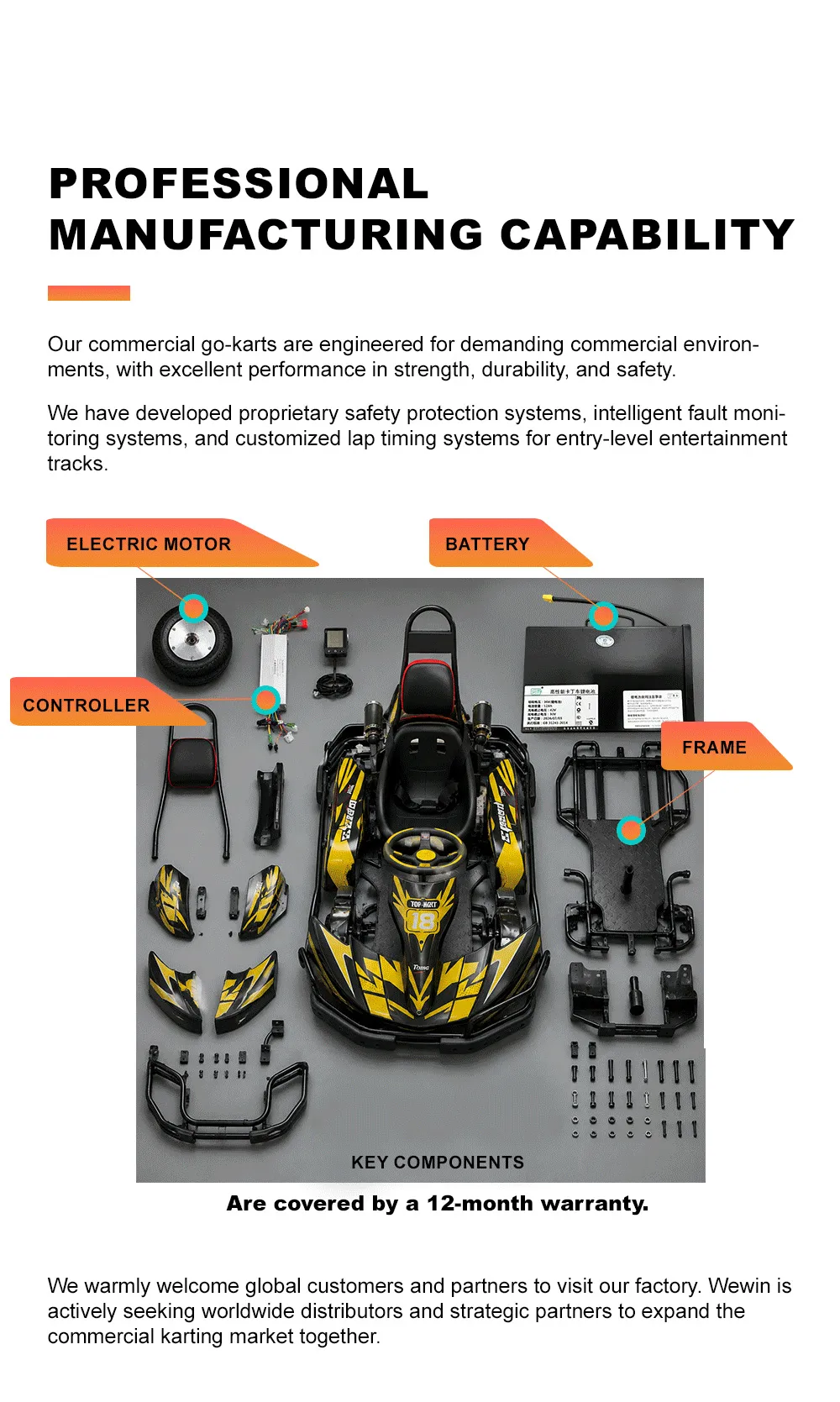 professional manufacturing capability